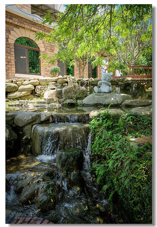 DSCF6619.jpg DSCF6619.jpg