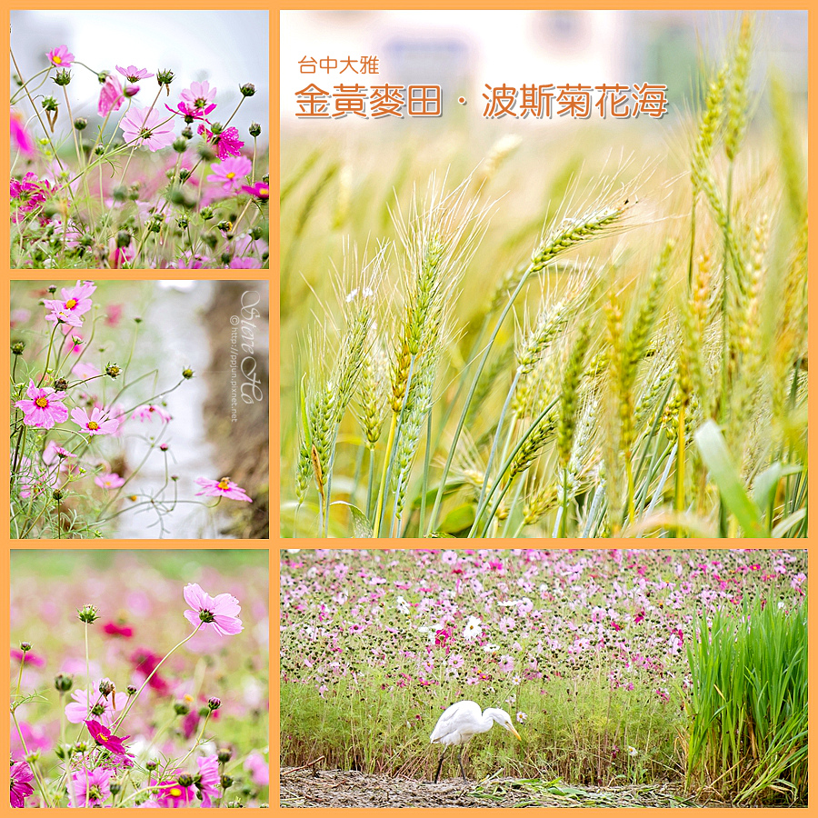 Cover5.jpg Cover5.jpg