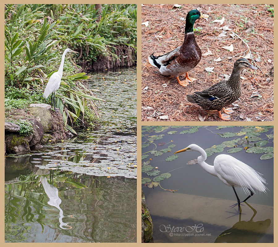 02.拼01.jpg 02.拼01.jpg