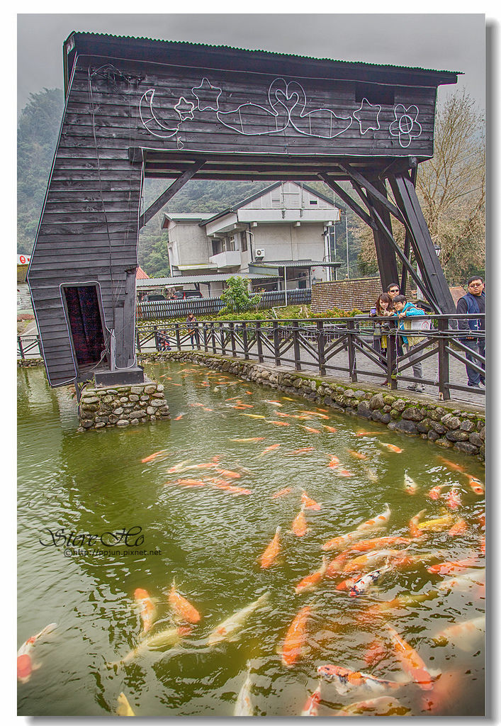 01.IMG_8493.jpg 01.IMG_8493.jpg