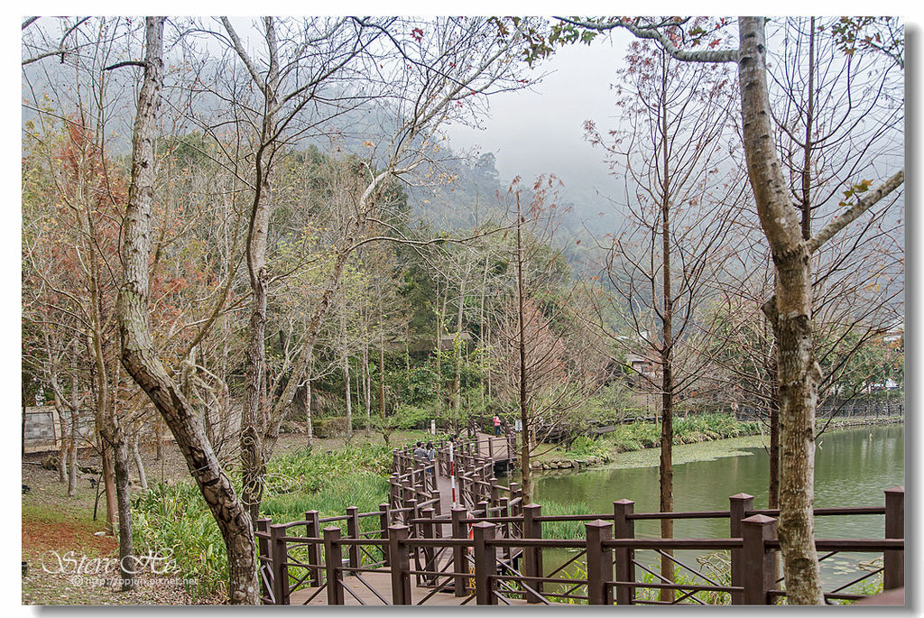 07.IMG_8554.jpg 07.IMG_8554.jpg