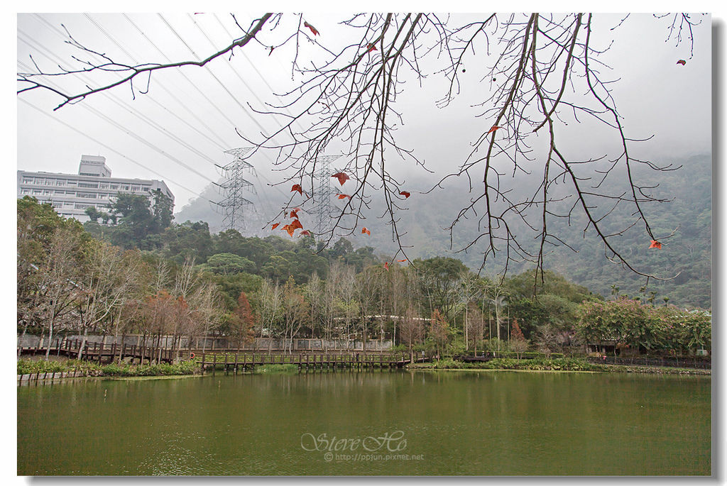 17.IMG_8570.jpg 17.IMG_8570.jpg