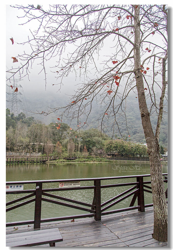 18.IMG_8569.jpg 18.IMG_8569.jpg