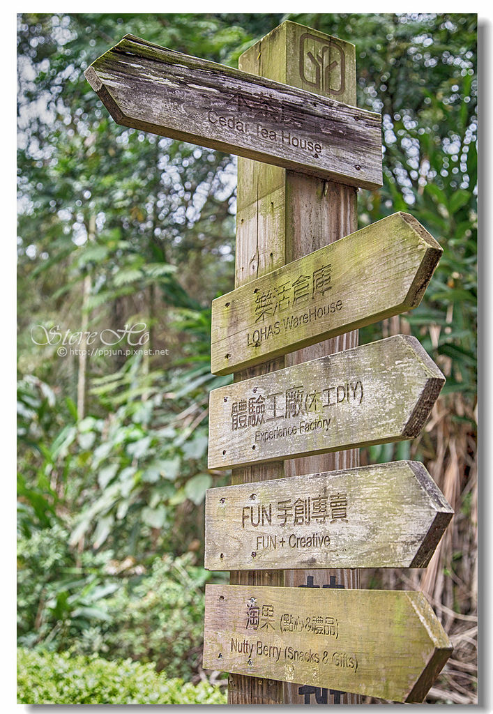 21.IMG_8509.jpg 21.IMG_8509.jpg