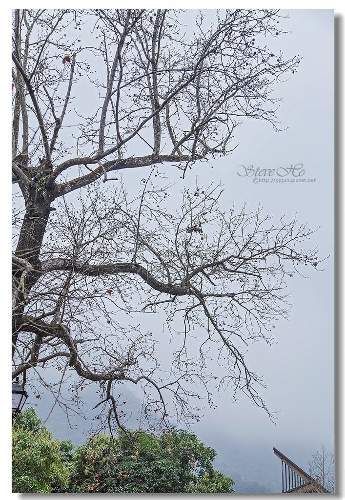 16.IMG_8567.jpg 16.IMG_8567.jpg