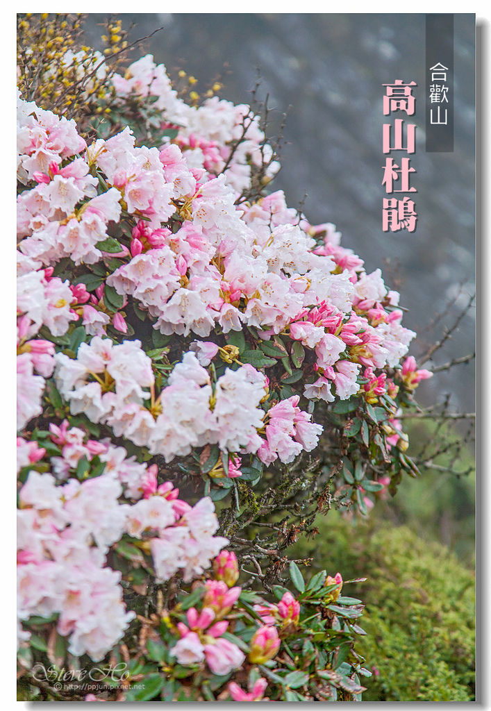 cover_01.jpg cover_01.jpg