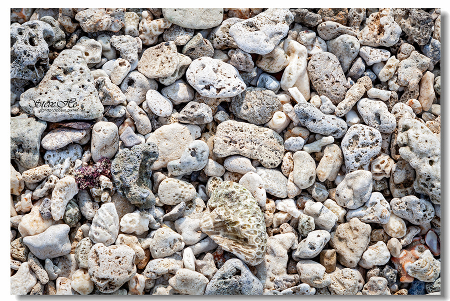 IMG_6040.jpg IMG_6040.jpg