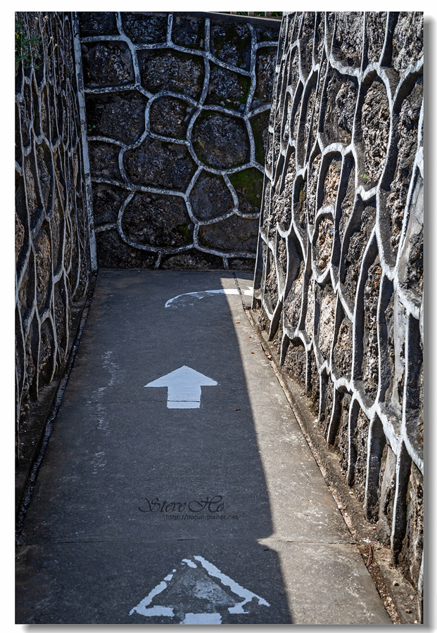 IMG_6558.jpg IMG_6558.jpg