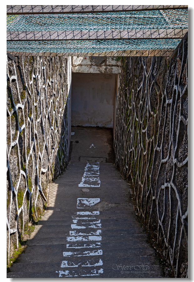 IMG_6560.jpg IMG_6560.jpg