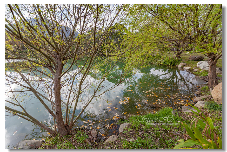 07.IMG_0595.jpg 07.IMG_0595.jpg