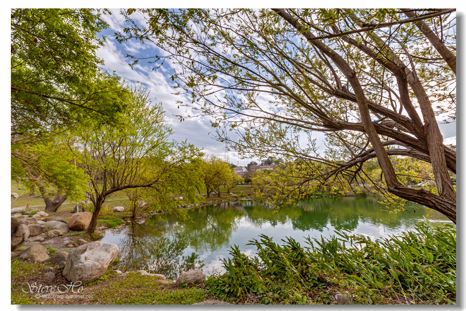 11.IMG_0606.jpg 11.IMG_0606.jpg