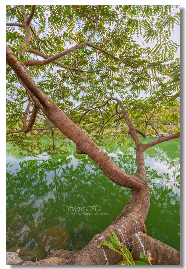 14.IMG_0619.jpg 14.IMG_0619.jpg