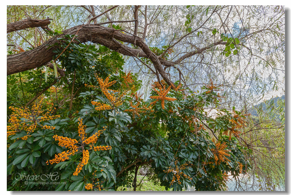 22.IMG_0640.jpg 22.IMG_0640.jpg