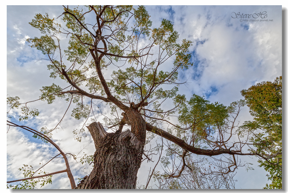 23.IMG_0643.jpg 23.IMG_0643.jpg