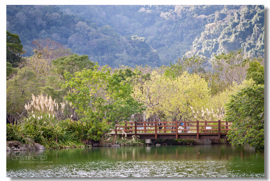 31.IMG_2856.jpg 31.IMG_2856.jpg