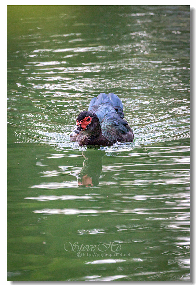 34.IMG_2910.jpg 34.IMG_2910.jpg