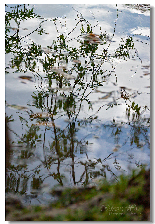 44.IMG_2921.jpg 44.IMG_2921.jpg