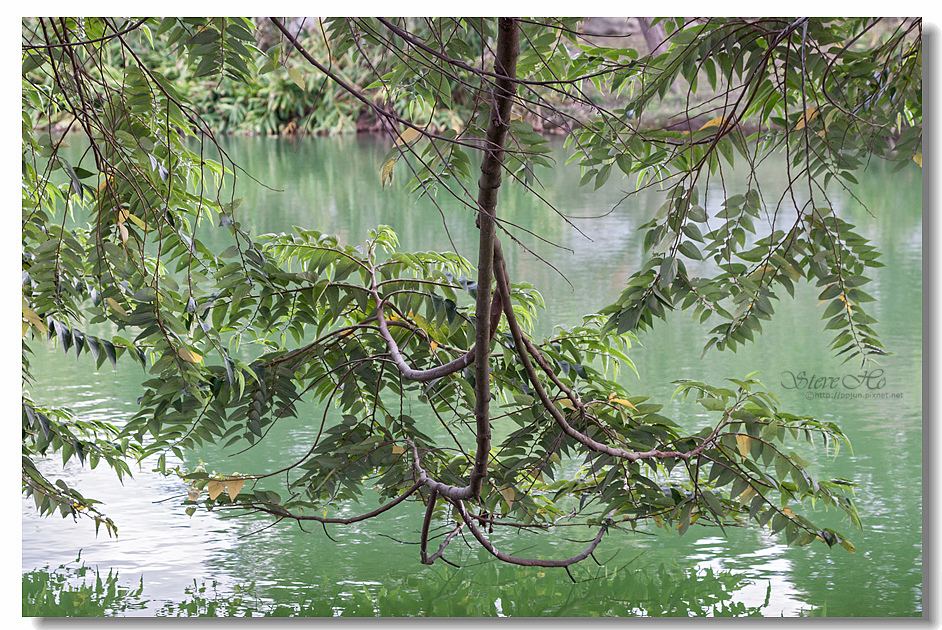 46.IMG_2936.jpg 46.IMG_2936.jpg