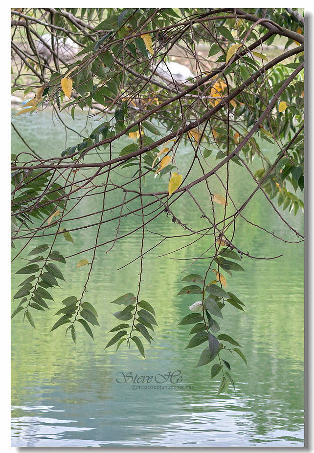 47.IMG_2937.jpg 47.IMG_2937.jpg