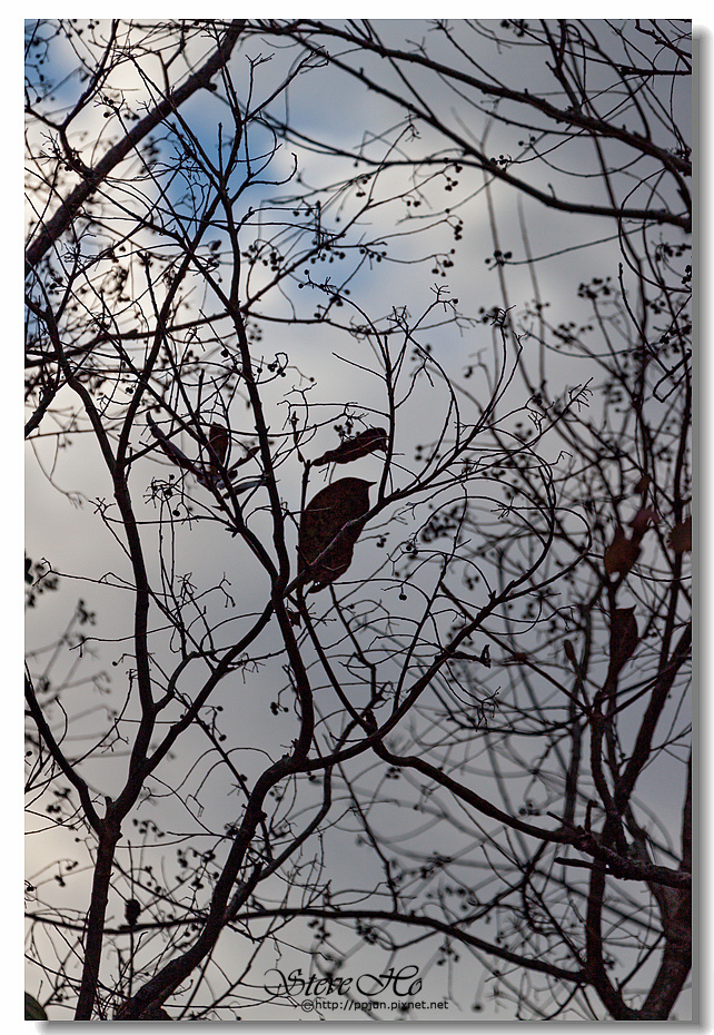 IMG_3017.jpg IMG_3017.jpg