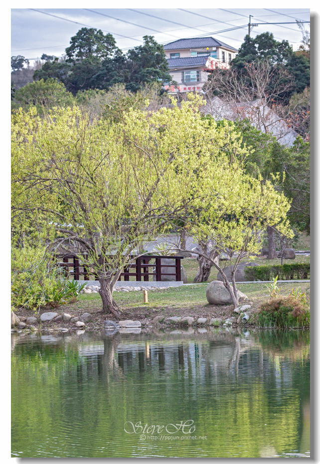 50.IMG_2954.jpg 50.IMG_2954.jpg