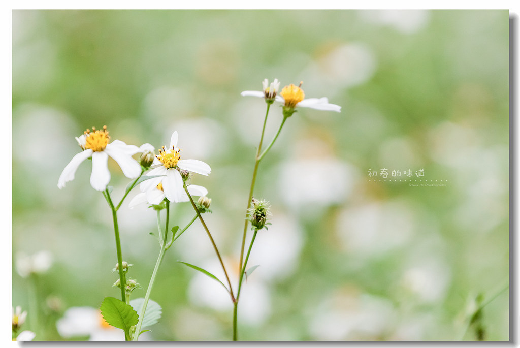 IMG_5620.jpg IMG_5620.jpg