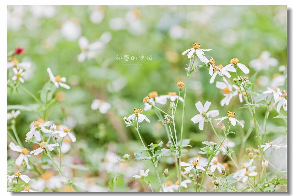 IMG_5622.jpg IMG_5622.jpg