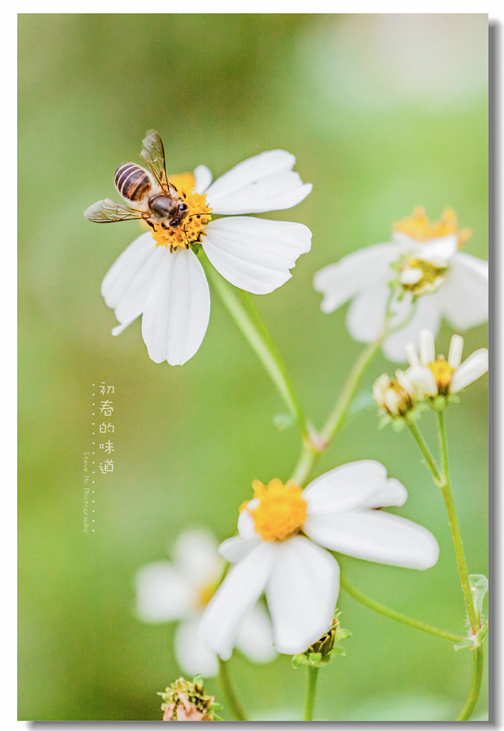 IMG_5629.jpg IMG_5629.jpg