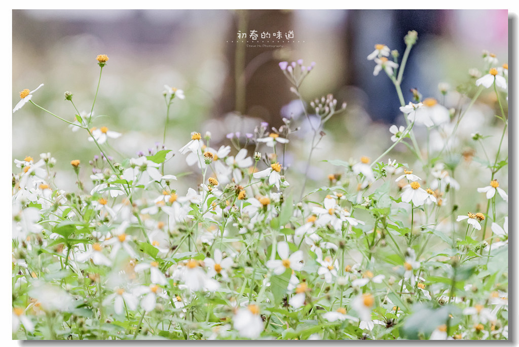 IMG_5617.jpg IMG_5617.jpg