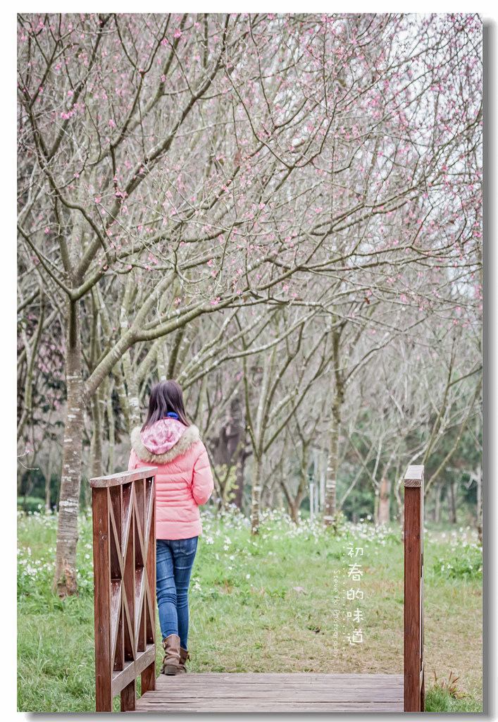 IMG_5677.jpg IMG_5677.jpg