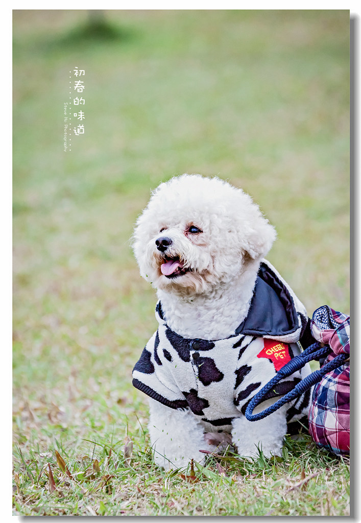 IMG_5688-2.jpg IMG_5688-2.jpg