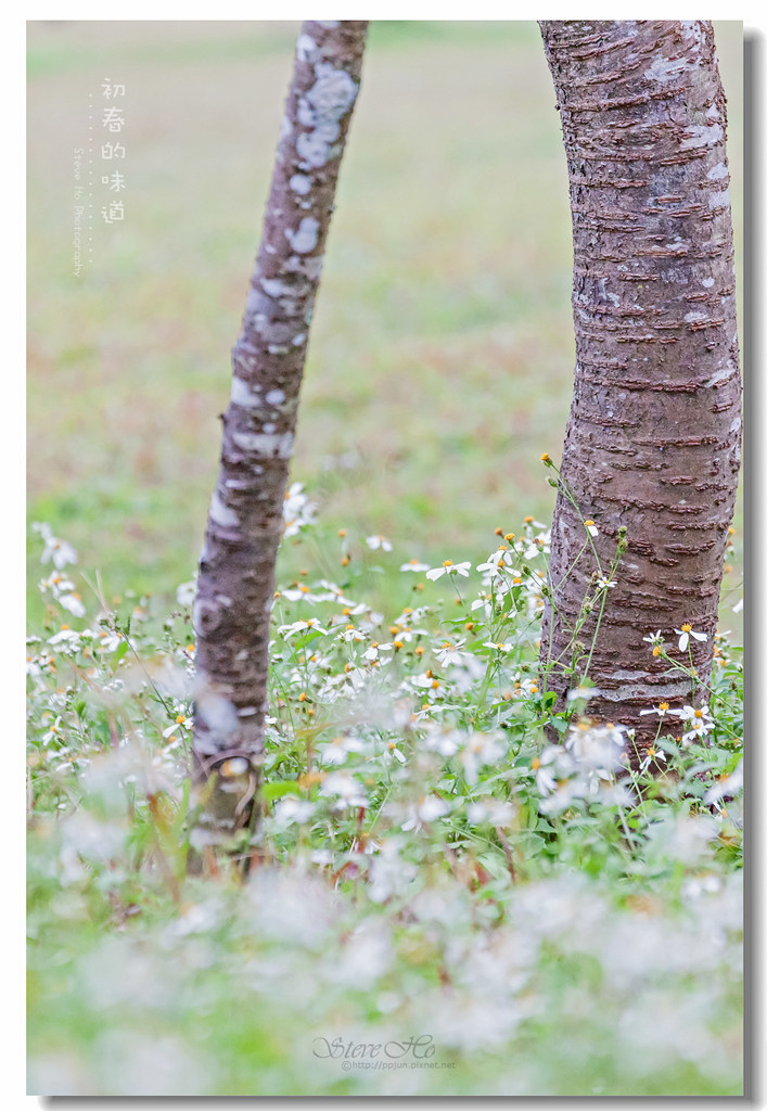 IMG_5649.jpg IMG_5649.jpg