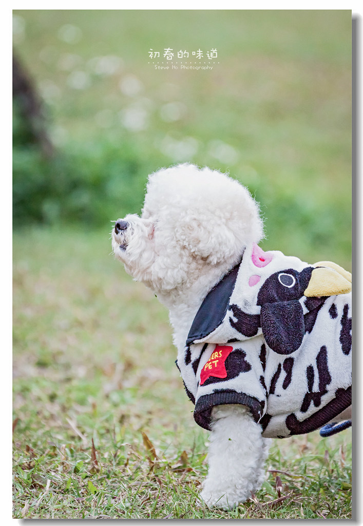 IMG_5679.jpg IMG_5679.jpg