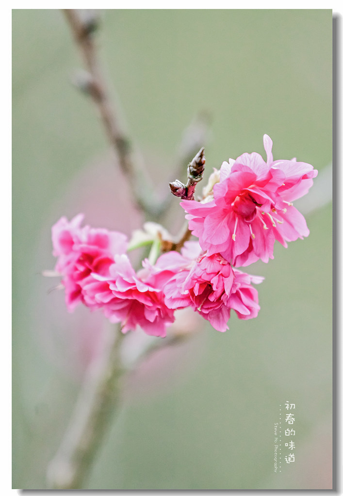 IMG_5691.jpg IMG_5691.jpg