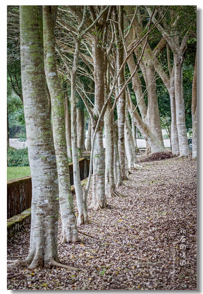 IMG_5692.jpg IMG_5692.jpg