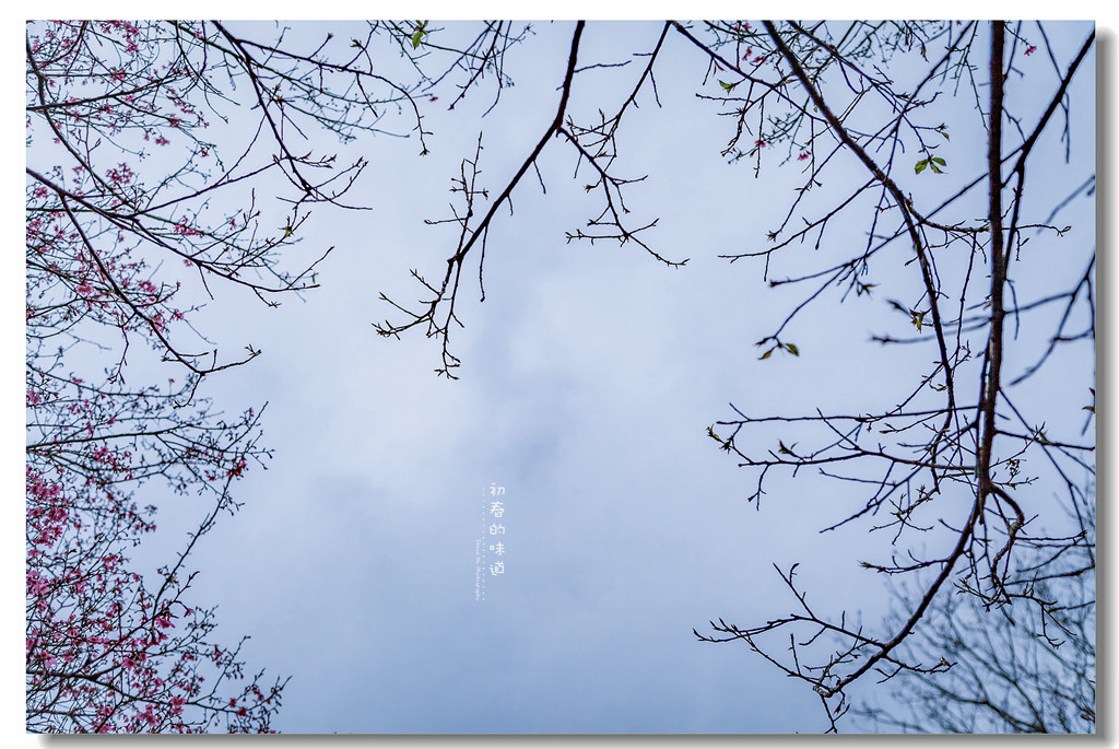 IMG_8666-2.jpg IMG_8666-2.jpg