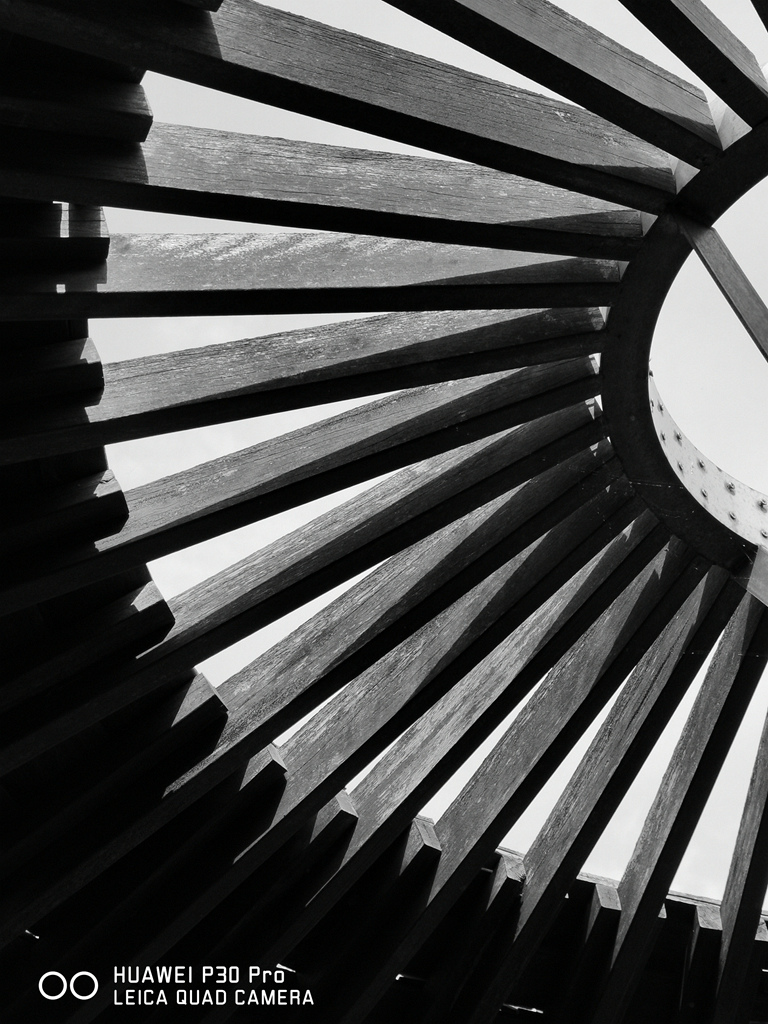 IMG_20190526_090116.jpg IMG_20190526_090116.jpg