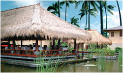 patrabali_floatingrestaurant