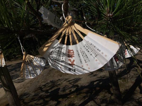 IMG_0938.JPG IMG_0938.JPG