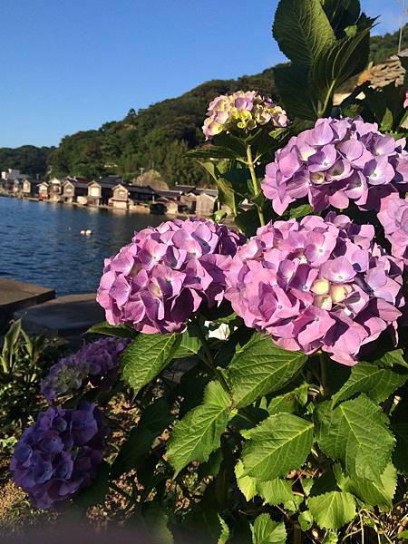 IMG_0974.JPG IMG_0974.JPG