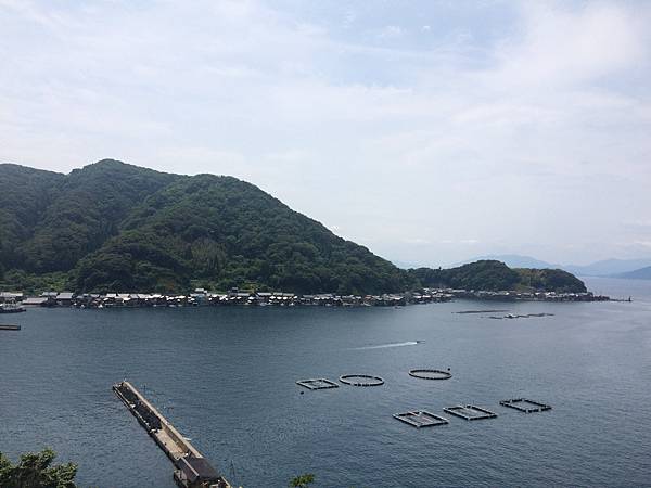 IMG_1107.JPG IMG_1107.JPG