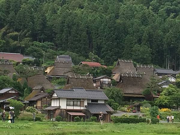 IMG_1117.JPG IMG_1117.JPG