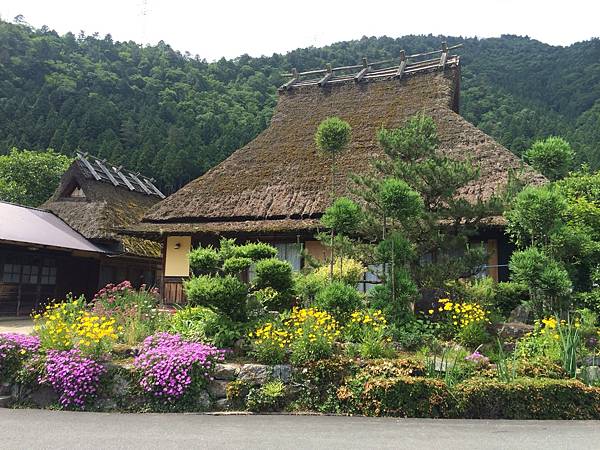 IMG_1203.JPG IMG_1203.JPG