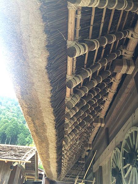 IMG_1134.JPG IMG_1134.JPG