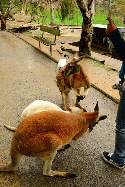 DSC_0307.JPG DSC_0307.JPG