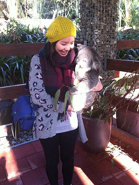 IMG_7557.JPG IMG_7557.JPG