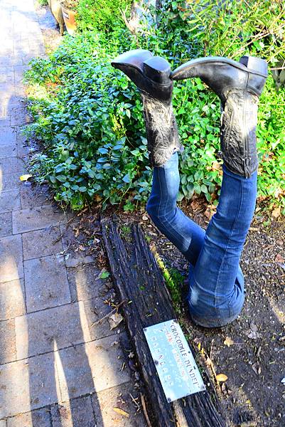 DSC_0474.JPG DSC_0474.JPG