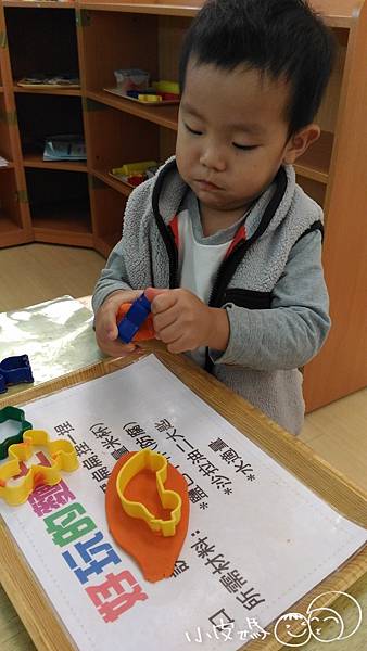 P_20170111_144111 P_20170111_144111