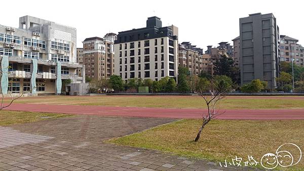 P_20170222_101217.jpg P_20170222_101217.jpg