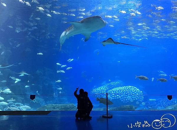 IMG_1289.jpg IMG_1289.jpg